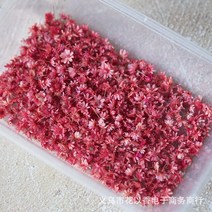 건식 코아 드릴 엔진 날 코어 추천 말린 꽃 머리 건조 데이지 식물 에폭시 수지 펜던트 목걸이 쥬얼리 만들, 05 200pcs