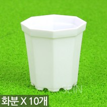 플라스틱 미니 화분 10P - 어린이집 유치원 플분 다육 선인장 식물 모종 삽목 인테리어 홈 가드닝 어린이 식목일 행사 다육이화분