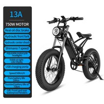 전기자전거 접이식 F20 전기 자전거 750W 48V 23AH 오일 브레이크 산악 전기 자전거 20*4.0 성인용 지방 타, 02 750W-13AH, 01 F20 Ebike