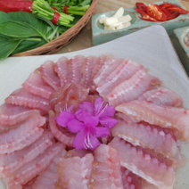 전라도 흑산도홍어 국내산홍어 목포홍어 국산홍어 흑산홍어 500g 1kg 1.5kg 생홍어 삭힌홍어 안삭힌홍어(1k이상주문시 홍어애또는묵증정)홍어코 초장서비스, 강숙성, 흑산홍어1.5k, 1개