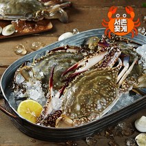 [서촌꽃게] 연평도 냉동 암꽃게(알박이) 3kg (12미), 상세 설명 참조, 상세 설명 참조