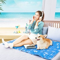 아임홈인 쿨장판 여름 바닥 매트 봄 매쉬 패드 냉온 아이스방 곰팡이 냉감 얼음 매트리스 이불 토퍼