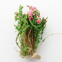 한결모형 한결 나무모형 조경재료, 27_A_5cm