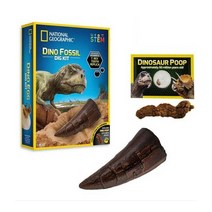 공룡 이빨 모형 캐기 화석 키트 고고 학자 역할 놀이 _ 2302038EA