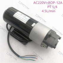 10A/11A/12A/13A 전기 유압 펌프 디젤 오일러 마이크로 기어 오일 소형 1800rpm100W DC12V/DC24V/AC220V 앱스트, AC220V ROP-12A