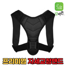 킹바른 자세교정밴드 남녀공용 프리사이즈 등자세 허리자세 여성 남성 남자 여자 목 어깨 자세교정기구 새가슴 굽은어깨 목어깨 말린어깨 굽은등펴기 라운드숄더 거북목 일자목 교정기, 킹바른라이트핏밴드 3개