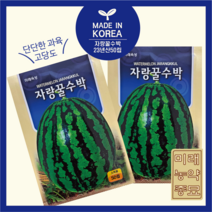 23년산 고당도 꿀수박 씨앗 50립- 수박씨앗 자랑꿀수박