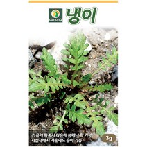 다농 쇠무릎 1g - 씨 씨앗 쇠무릎씨앗 쇠무릎씨 우슬초 산형채 대절채 쇠물팍 은실 백배 마청초 나물씨앗 민속채소 채소씨 채소씨앗, 03_다농_냉이(3g)
