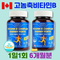수용성 고농축 비타민 B B2 B3 B6 B12 컴플렉스 효능 수험생 운동선수 헬스 영양제 나이아신 판토텐산 엽산