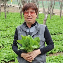 강원도 홍천 고랭지 명이나물(산마늘) 1kg 2kg, 산마늘(명이나물) 잎명이 1kg