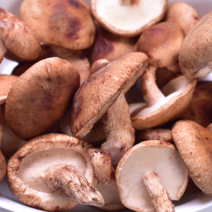 국산 참나무 말린표고버섯 슬라이스 건표고버섯 1kg, 슬라이스건표고500g, 1개