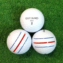 로스트볼 삼선인쇄 빅야드 던롭 나이키 A+급 골프공 30알 비거리용 골프공, 던롭 흰볼 30알