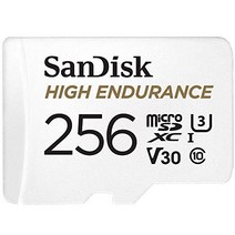 SanDisk High Endurance microSD 카드 256GB + Rescue Pro Deluxe(대시 캠 및 가정용 감시 시스템 높은 복원력 및 내구성 풀 HD/4K 비디오용) 흰색 -11636, 카드 전용 _256GB