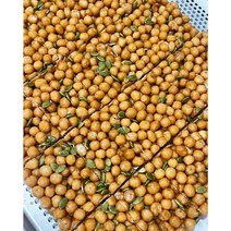 솜솜당 오란다 낱개 구매 : 크린베리 호박씨 김 (32g) / 추억의 그 맛 오란다 옥고시 크린베리 호박씨 김 옛날과자 레트로 골프장간식 안주
