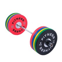 바벨 원판 바벨 봉 데드리프트 가정용 역기 헬스 홈트, 2.5kg 2