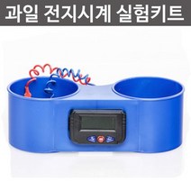 과일 전지시계 실험키트R RTS