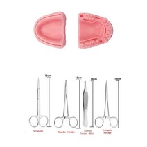 실리콘 인공 피부 구강 잇몸 봉합 훈련 가방 흔 한 유형 치과 상처 치과 의사의 실천 과 훈련, d