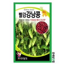 빨강강낭콩 30g/ 강낭콩 씨앗 강낭콩씨 이색종자 주말농장 베란다텃밭
