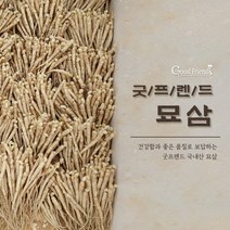 굿프렌드 새싹인삼재배용 묘삼(2년산 가을삼) 파삼, 묘삼 1채 (750g), 1개