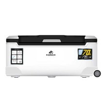 캠핑 냉장고 바다낚시 쿨러 아이스박스 대용량 캠핑, 22L-소형낚시상자-흑백(채광창모델)