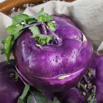 [팔도농장] 아삭 달콤한 제주 햇 콜라비 5kg