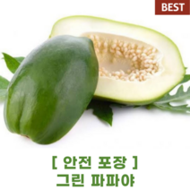 [ 안전포장 ] 그린 파파야 5kg green papaya 쏨땀 재료 필리핀 동남 아시아 식재료 샐러드 동남아 특수 채소 야채 과일