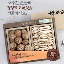 경성표고버섯농장 참나무원목재배 표고버섯 선물세트 동고 2종세트 250g, 상품선택다팔몰, 쿠팡다팔자 본상품선택