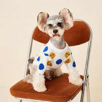 강아지 선인장 톡톡니트 풀오버 고양이 데일리 실내복, L, 02화이트 스마일리 스웨터