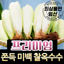 [최대 22cm 엄청난 길이] 강원도 찰옥수수 햇 미백 옥수수 흑찰옥수수 냉동 산지직송 못난이 특품 5개 10개 20개 30개 50개, 1-3) [특품] 미백 찰옥수수 30개