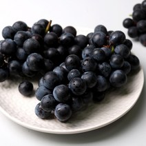 충북 영동 캠벨 포도 1.5kg(3-5송이), 캠벨1.5kg(3-5송이)