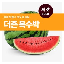 마이플랜트 더존 복수박 씨앗 10립