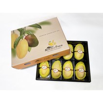 [줌마망고] 직수입 필리핀 카라바오 꿀 생망고 1kg 2kg 4kg 5kg, 카라바오망고 선물세트 L 8과 2.2kg
