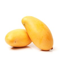 프리미엄 태국 골드망고 4kg내외 / 10~12과 / 대과사이즈 항공수입