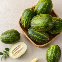 봄철 제철과일 경북 고령 파파야메론 2~5kg, 4kg / 9-20과 내외, 1개