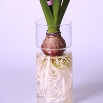 아크릴 세라믹 인테리어 도자기 화병 꽃병 glass vase creative flower planter pot diy terrarium container decor art 선물, 없음