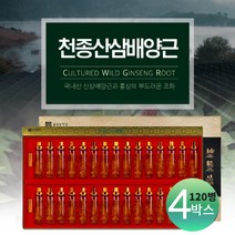 종근당 국내 풍기 자연 에서 자란 뿌리째 먹는 천종삼 천종산삼 배양근 선물용 고급 포장 cultured wild ginseng root, 4박스(4개월분)