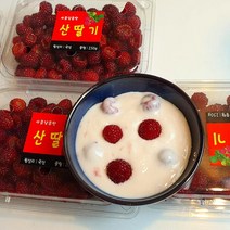 초달달 정성가득 산딸기 500g 1kg 산에서 바로 포장!, 1박스