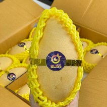 프리미엄 태국망고 고당도 골드망고 항공수입, 4kg(8-16과 내외)