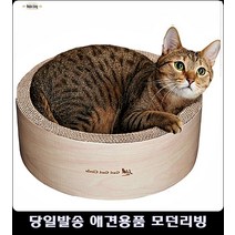 애묘스크래쳐 고양이펫샵 고양이용품샵 고양이용품