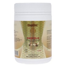 MEGAMAX PROPOLS 메가맥스 프로폴리스 500mg 500정