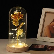황금장미 카네이션 무드등 [LED 유리돔 금장미 꽃 장미 플라워 엘이디꽃무드등 조명], A 골드 로즈 무드등