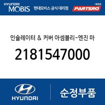 인슐레이터 & 커버 아셈블리-엔진 마운팅 (2181547000) 리베로