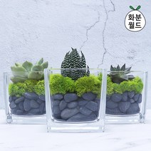 화분월드 흑자갈(소포장) 1.5kg, 7호