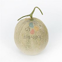 국내산 냉장 머스크멜론 완숙 1.5kg