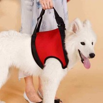 무릎 다리 보조기 애견 강아지 관절 재활 보호대 탈구 다리 보호대 커버 깁스 골절, L-대형, T