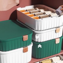 옷장수납함 덮개형 플라스틱 속옷 양말 수납함 속옷 양말 다용도 리빙박스 정리노하우 드레스룸정리 덮개형 옷방정리 옷장정리방법 수납정리함 원룸꾸미기 속옷정리함 방정리옷장수납 장롱정리 붙박이장정리 드레스룸정리 옷수납정리, 10칸 화이트, 10칸 화이트