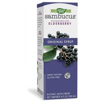 Natures Way 삼부커스 엘더베리 시럽 240ml 해외, 6개