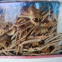 동해안 포항 구룡포 활 박달대게 소 중 대 골라담기!, 생물 박달대게 중 5마리/몸통75% 다리수율80%