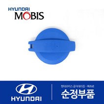 쏘울 전기차 워셔액통 캡 뚜껑 (2019-2020)