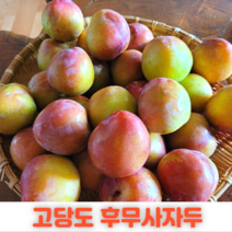 2023년 햇 자두 후무사자두 예비맘 대석자두 로얄과 영동 김천 추희 도담, 완전인기 후무사자두(산지직송) 특1kg, 1개